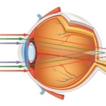 Преломление синего света в глазу