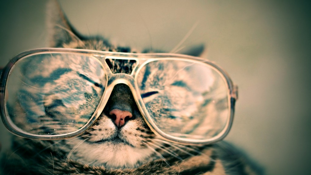 Кошачьи глаза, Кошачьи ушки, тренды, модные очки, солнцезащитные очки, Matthew Williamson, Quay, Marc by Marc Jacobs, MMJ 477