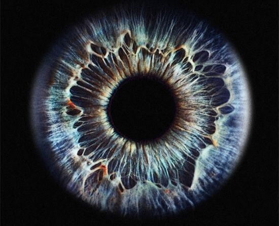 Глаз человека — загадка анатомии