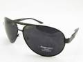 3843 66-13-122 C01 PolarVision Polarized