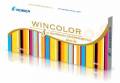 Цветные контактные линзы Wincolor