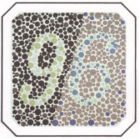 Таблица Рабкина для проверки дальтонизма Таблица Рабкина для проверки дальтонизма