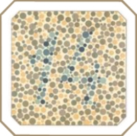 Таблица Рабкина для проверки дальтонизма Таблица Рабкина для проверки дальтонизма