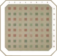 Таблица Рабкина для проверки дальтонизма Таблица Рабкина для проверки дальтонизма