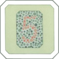 Таблица Рабкина для проверки дальтонизма Таблица Рабкина для проверки дальтонизма