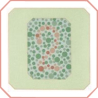 Таблица Рабкина для проверки дальтонизма Таблица Рабкина для проверки дальтонизма