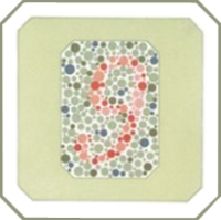 Таблица Рабкина для проверки дальтонизма Таблица Рабкина для проверки дальтонизма