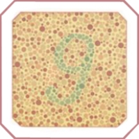 Таблица Рабкина для проверки дальтонизма Таблица Рабкина для проверки дальтонизма