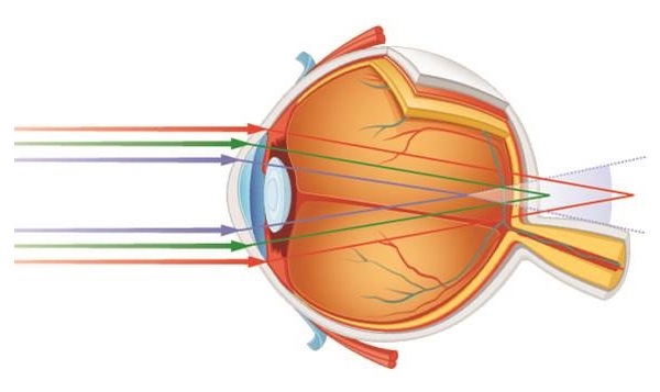 Преломление синего света в глазу человека Преломление синего света в глазу человека
