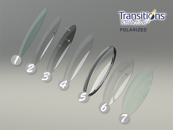 структура линз Transitions XTRActive Polarized структура линз Transitions XTRActive Polarized